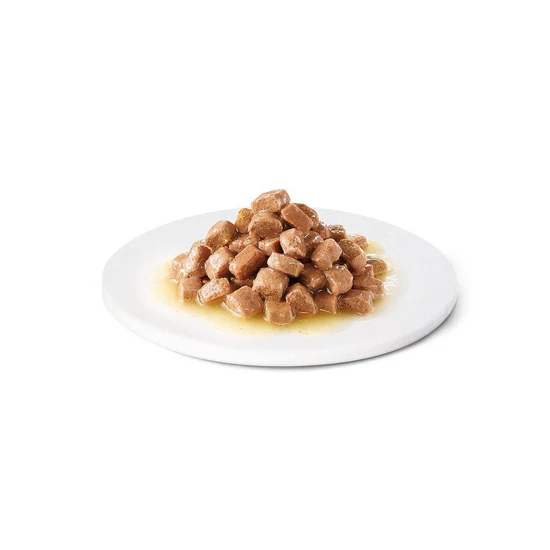 Avet Recovery Pouch for Dogs & Cats