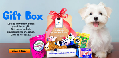 Christmas Pet Blind Box