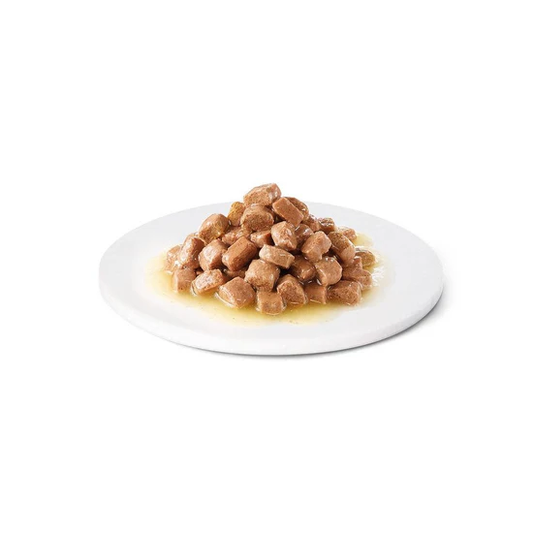 Avet Recovery Pouch for Dogs & Cats