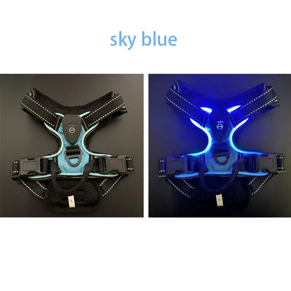 GlowPaws™ High-Visibility LED Safety Harness - USB Rechargeable