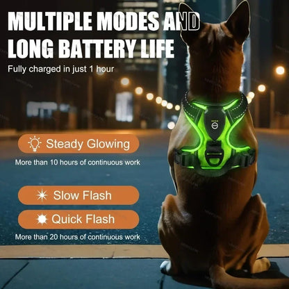 GlowPaws™ High-Visibility LED Safety Harness - USB Rechargeable