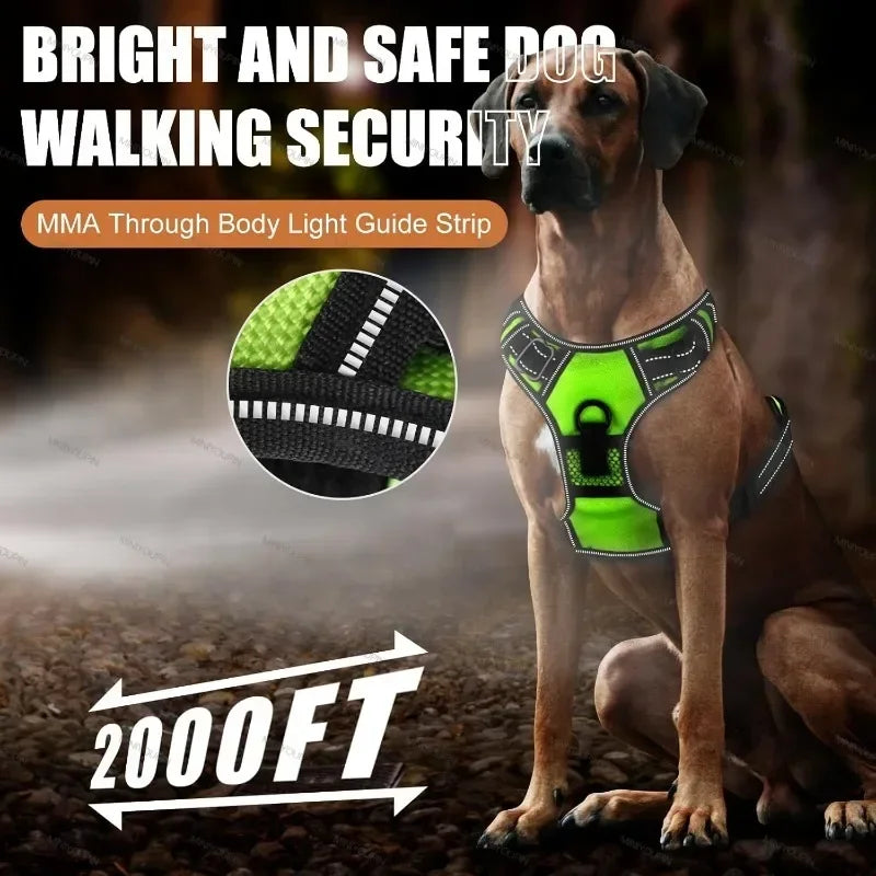 GlowPaws™ High-Visibility LED Safety Harness - USB Rechargeable