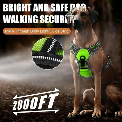 GlowPaws™ High-Visibility LED Safety Harness - USB Rechargeable