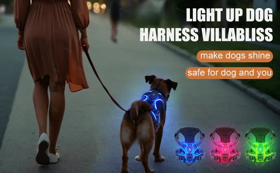 GlowPaws™ High-Visibility LED Safety Harness - USB Rechargeable