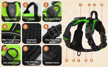 GlowPaws™ High-Visibility LED Safety Harness - USB Rechargeable