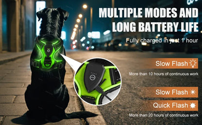 GlowPaws™ High-Visibility LED Safety Harness - USB Rechargeable