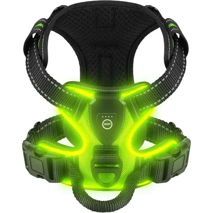 GlowPaws™ High-Visibility LED Safety Harness - USB Rechargeable