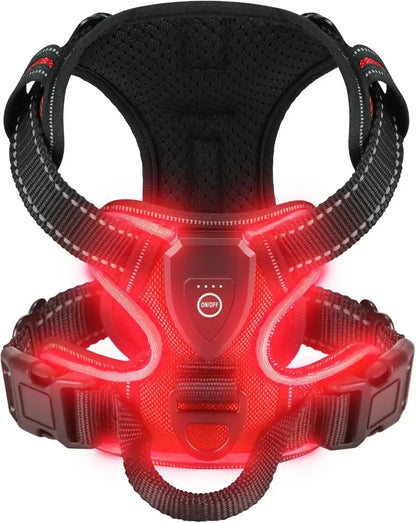 GlowPaws™ High-Visibility LED Safety Harness - USB Rechargeable
