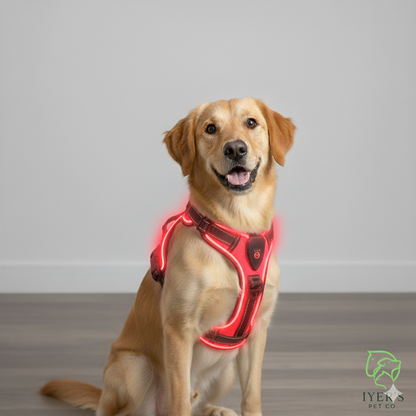GlowPaws™ High-Visibility LED Safety Harness - USB Rechargeable