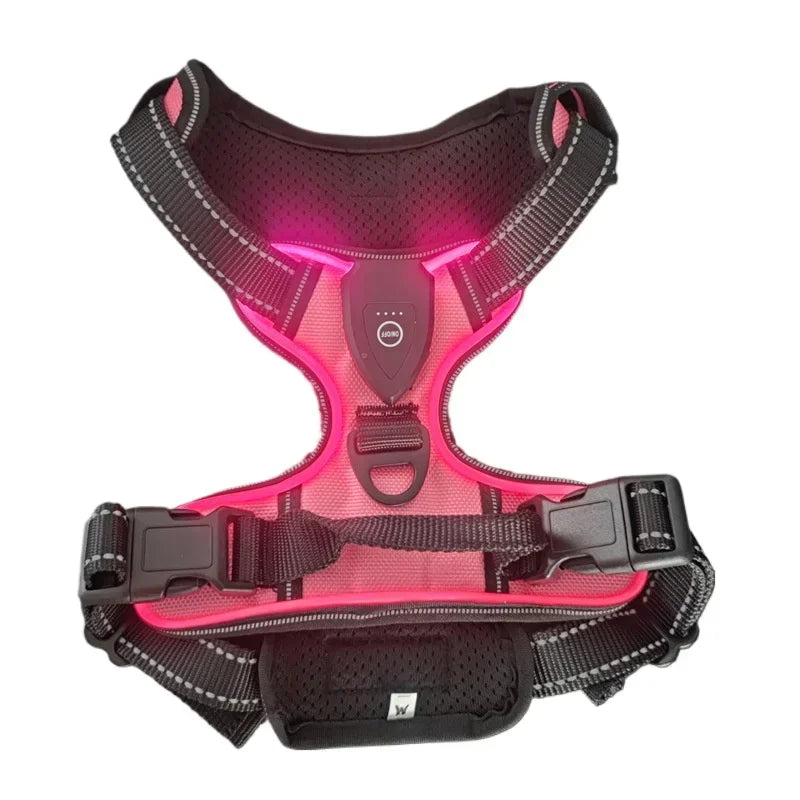 GlowPaws™ High-Visibility LED Safety Harness - USB Rechargeable