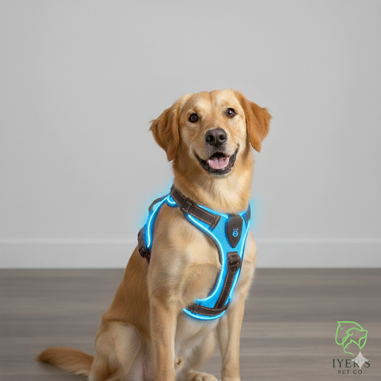 GlowPaws™ High-Visibility LED Safety Harness - USB Rechargeable