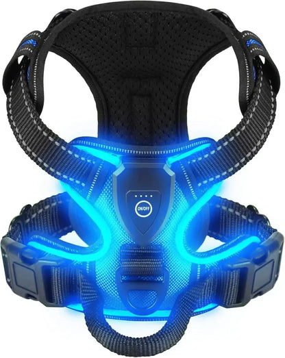 GlowPaws™ High-Visibility LED Safety Harness - USB Rechargeable