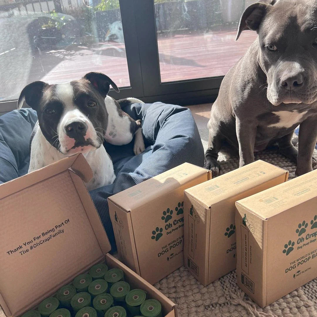 Oh Crap Compostable Dog Poop Bags