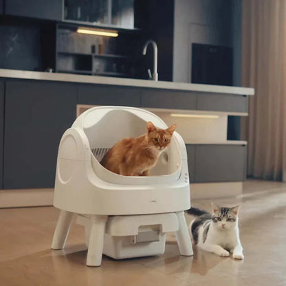 Self-cleaning Smart Cat Litter Box - Automatic Cat Litter Box