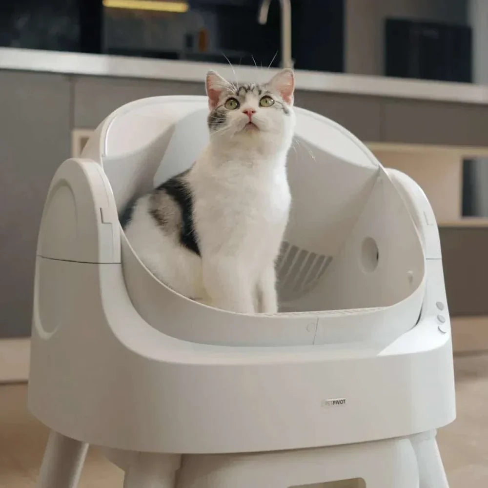 Self-cleaning Smart Cat Litter Box - Automatic Cat Litter Box