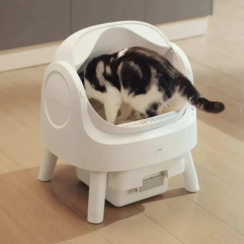 Self-cleaning Smart Cat Litter Box - Automatic Cat Litter Box