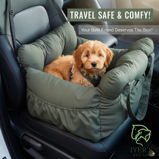 Luxury All-in-One Pet Car Carrier & Couch Bed