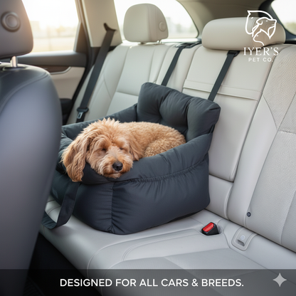 Luxury All-in-One Pet Car Carrier & Couch Bed