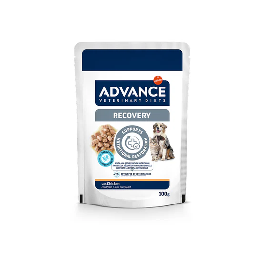 Avet Recovery Pouch for Dogs & Cats