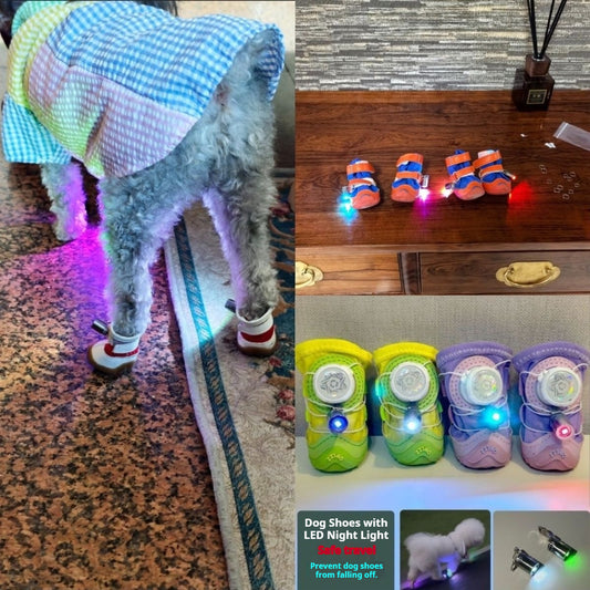 Small and medium-sized pet light-up running shoes（Two pairs）